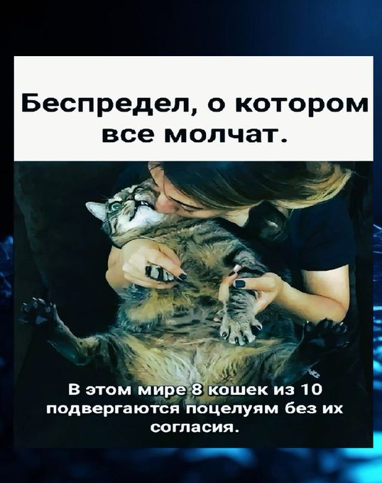 Всегда мучил вопрос. ... Чем питалась эта комариная орда до того момента, когда я зашел в этот лес?