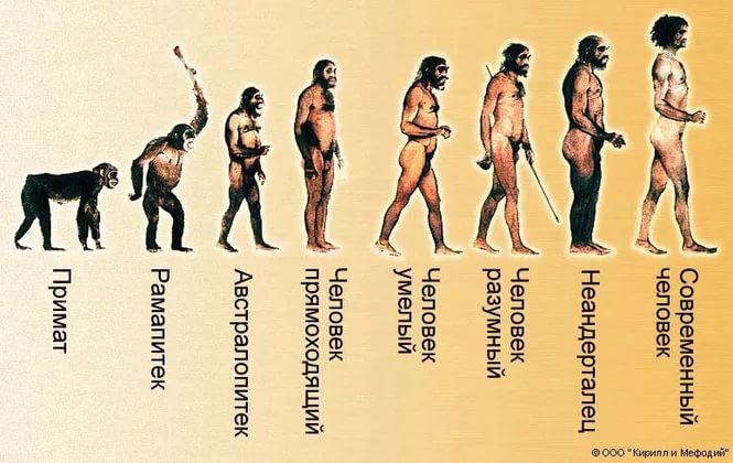 Самые распространенные мифы об эволюции человечества