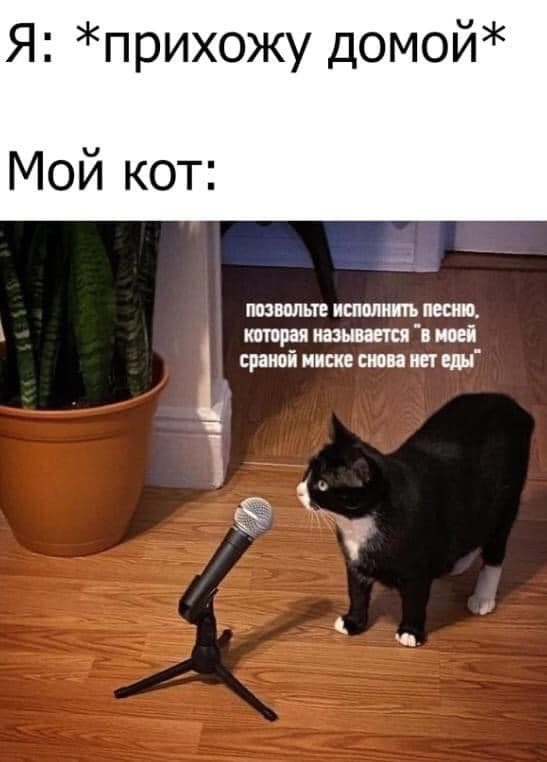 Приколы для расслабона Приколы для расслабона