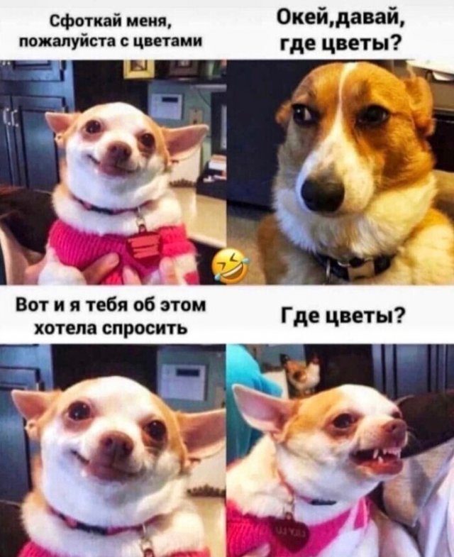 Прикольные мемы про отношения Прикольные мемы про отношения позитив,смешные картинки,юмор