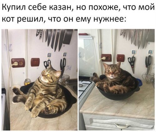 Немного прикольных фотомемов 