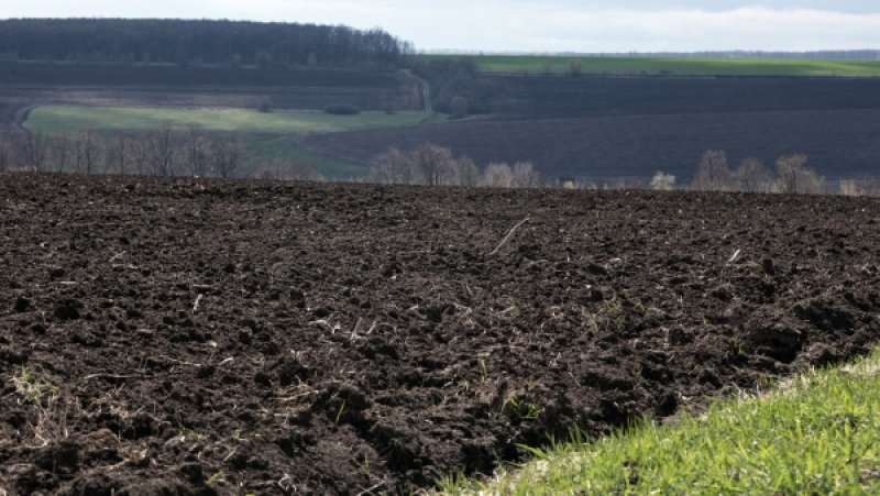 Киев против фермеров: почему ЕС не даст Украине реальных торговых преференций