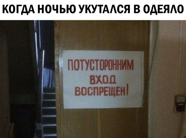 Весело и прикольно