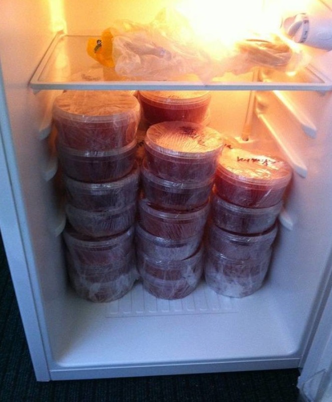 12. Когда вернулся с Сахалина смешно, фото, холодильник