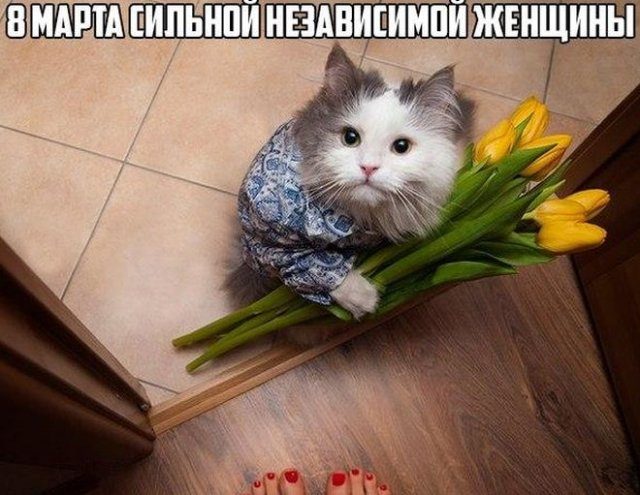 Приколы для расслабона Приколы для расслабона