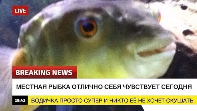 1504134410178724506