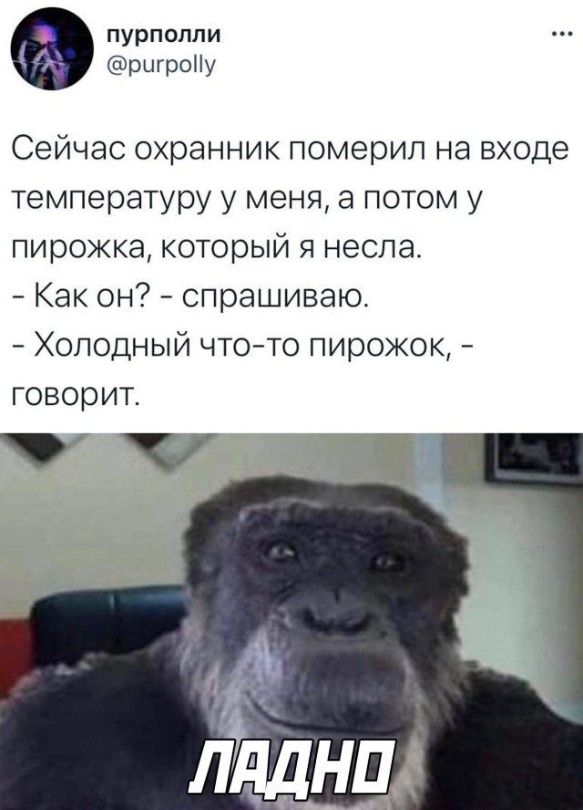 Свежие фотоприколы и смешные картинки 