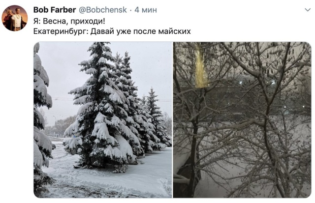 Подборка прикольных картинок Подборка прикольных картинок смешные картинки