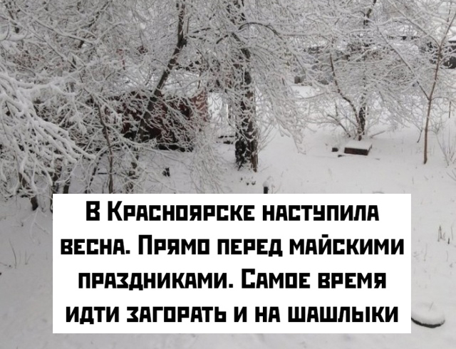 Подборка прикольных картинок Подборка прикольных картинок смешные картинки