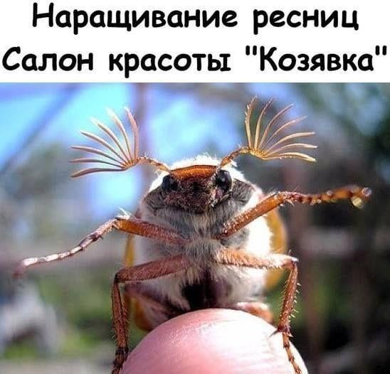 Смешные свежие картинки с надписями Смешные свежие картинки с надписями