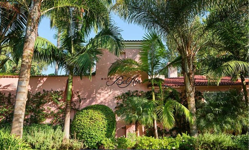 Удивительные существа из глубин океана Удивительные существа из глубин океана Путешествия,фото