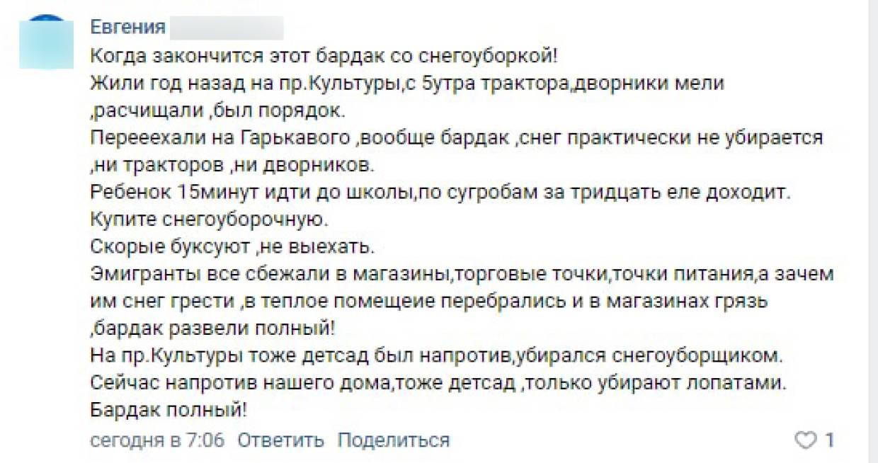 «Кто-то же должен»: горожане своими силами спасают Петербург от снежного коллапса Общество