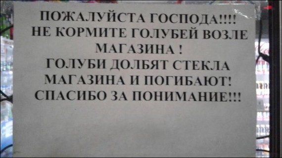 Смешные надписи и объявления!