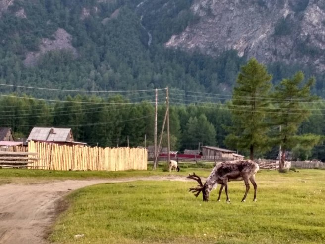 Загадочная Тофалария