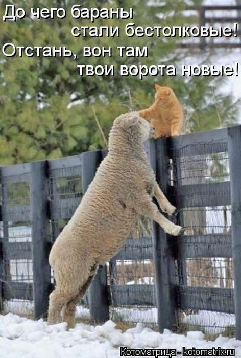 Картинки с надписями отстань