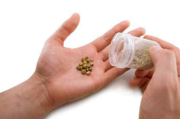 Камни в почках - дикая боль. Выводим без операции простыми рецептами. Травы, которые безболезненно дробят камешки