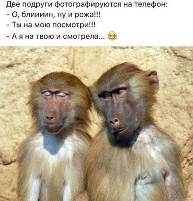 Весёлые анекдоты с просторов сети Весёлые анекдоты с просторов сети