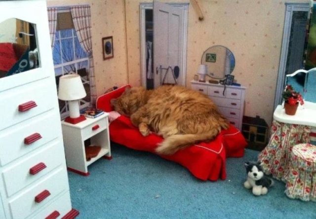 Что-то тут не то... Что-то тут не то...