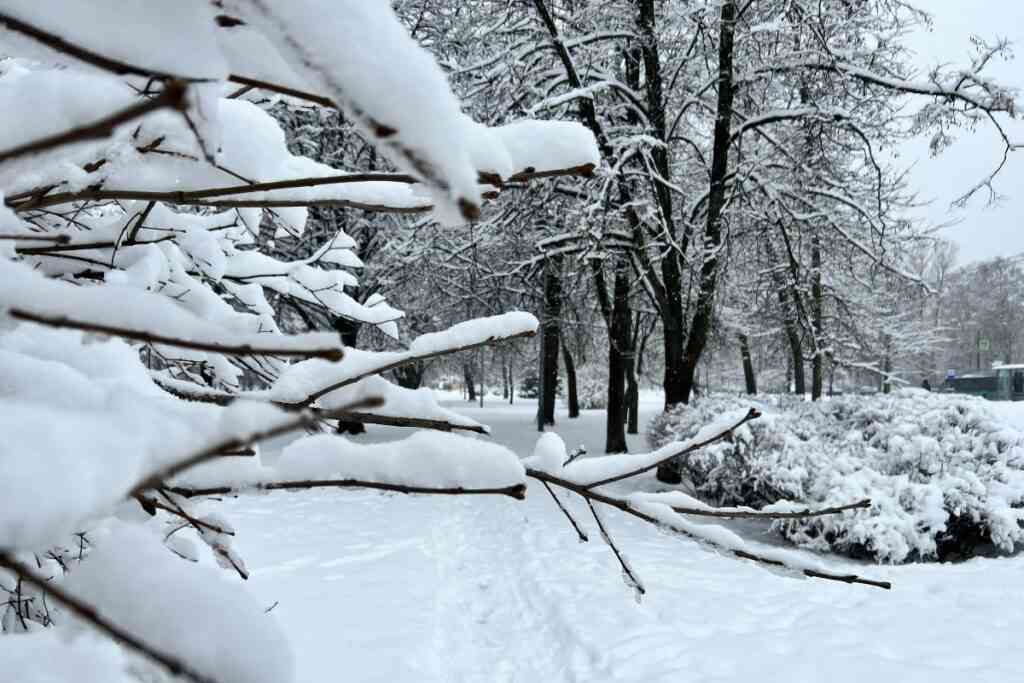 Желтый уровень погодной опасности объявлен в Москве