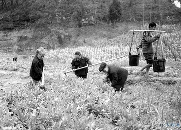 Загадка китайской деревни карликов: виновата ли большая черепаха? интересные факты,Китай,наука,природа