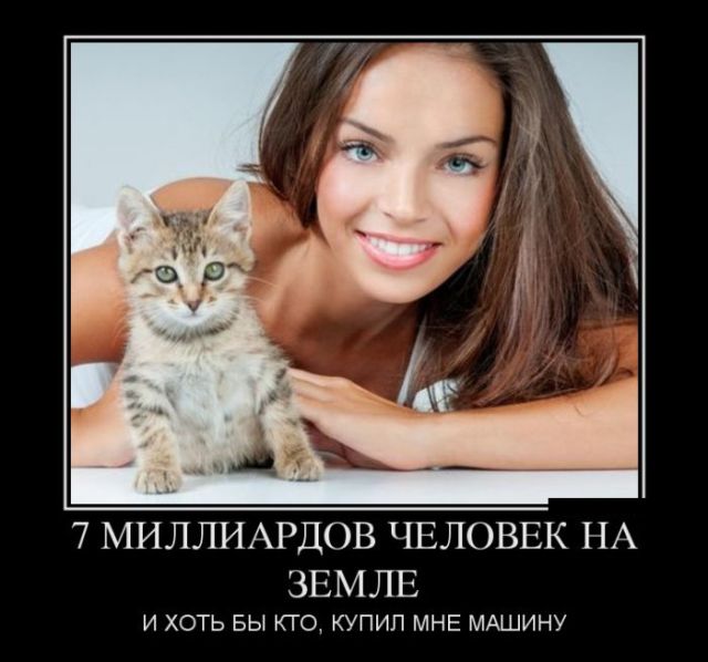 Веселые и забавные демотиваторы для позитива (11 фото)