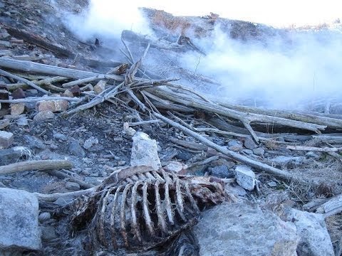 Бесконечный пожар: история американского города-призрака, который горит уже 55 лет авария, география, история