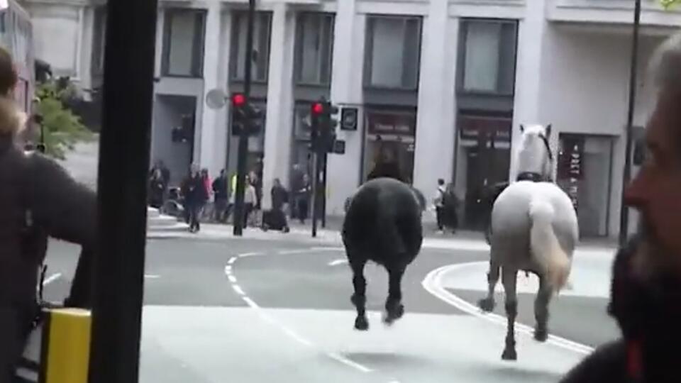Лошади британской гвардии сбежали и ранили четырех человек в центре Лондона