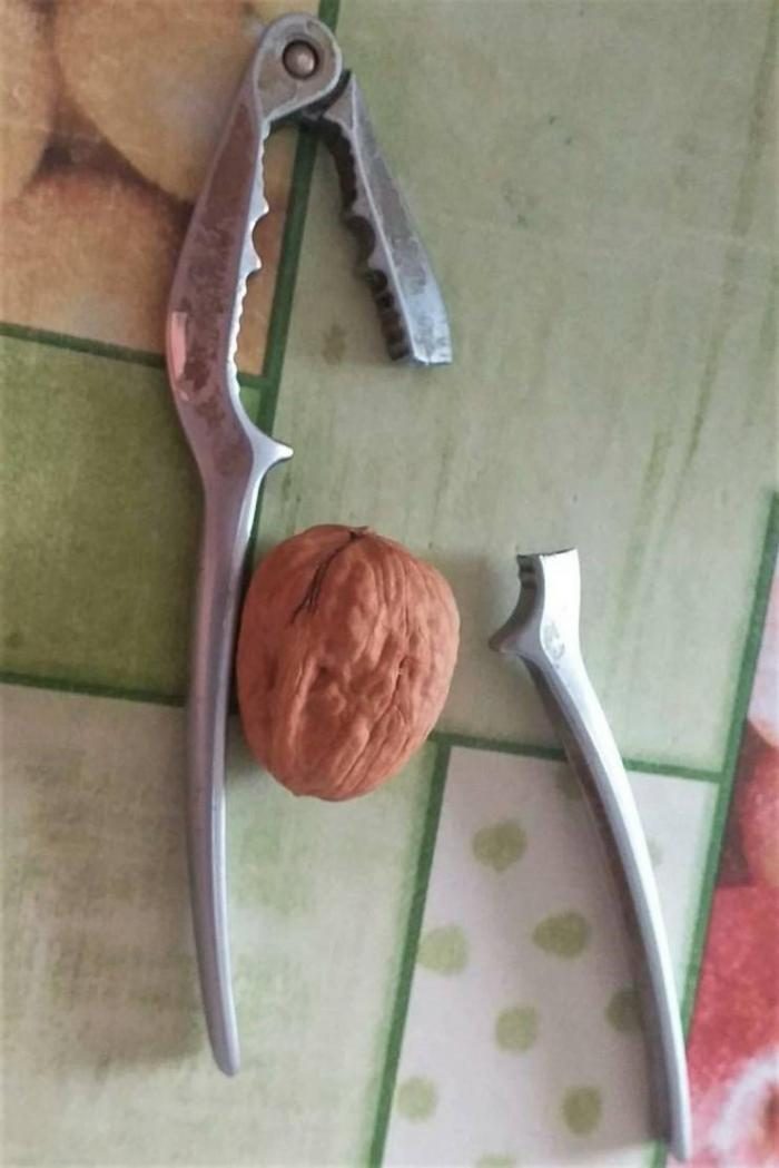 Свежие фотоприколы и смешные картинки 