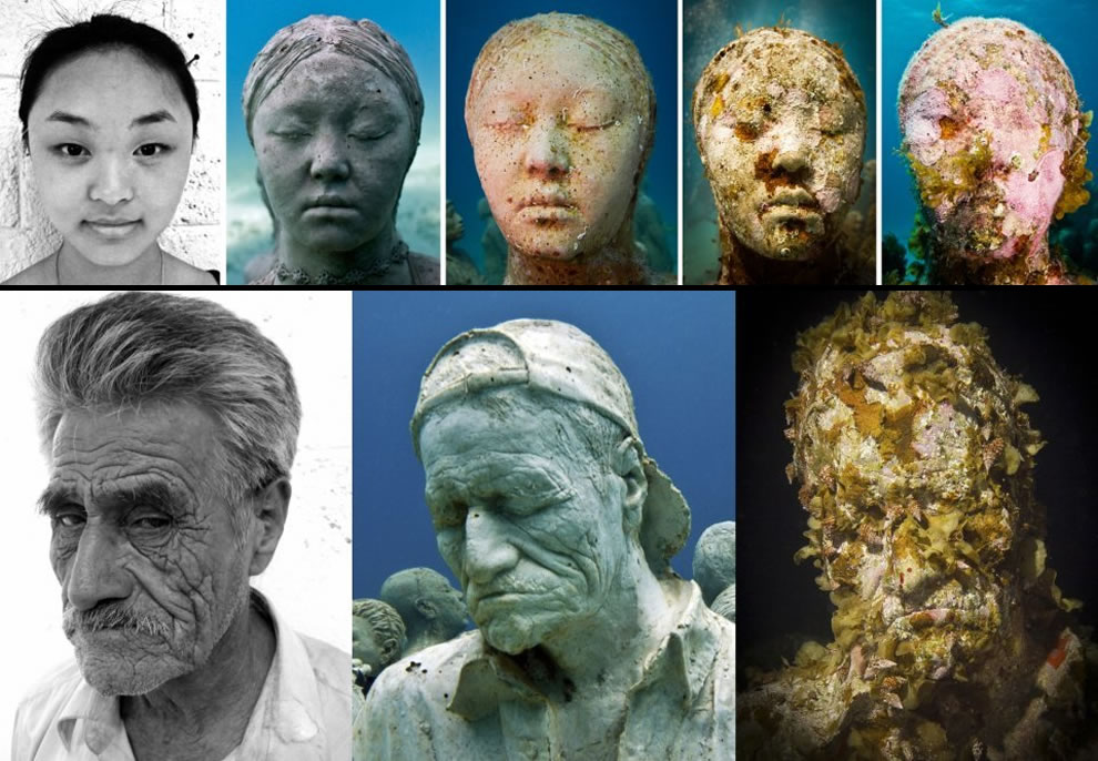 Подводные миры Подводные миры