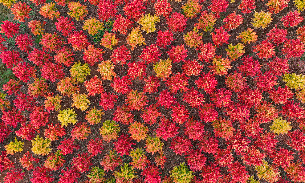 Последние осенние пейзажи 2019 Последние осенние пейзажи 2019 пейзажи,природа,Путешествия,фото