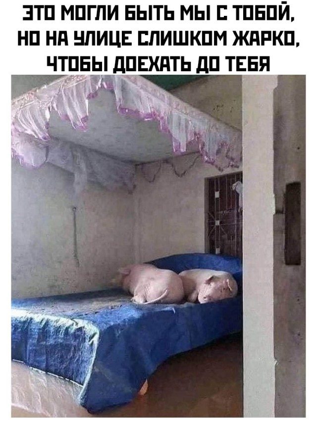 Свежие фотоприколы и смешные картинки 