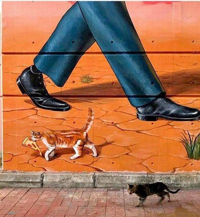 Подборка зачетных картинок и фото приколов из сети Подборка зачетных картинок и фото приколов из сети приколы,прикольные картинки,смешные картинки,фото приколы,юмор