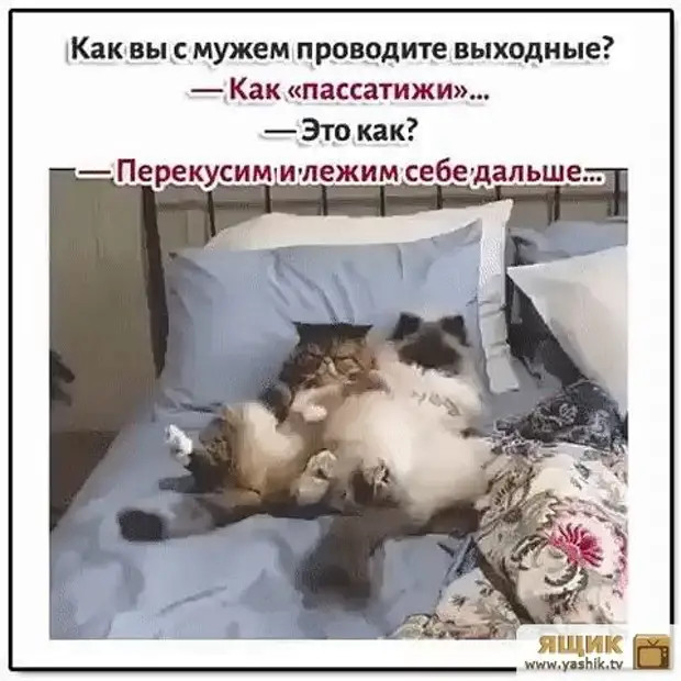 Женщины, притащить мужика к алтарю – это вам не за конями гоняться, останавливать их на скаку и по горящим избам метаться! Женщины, притащить мужика к алтарю – это вам не за конями гоняться, останавливать их на скаку и по горящим избам метаться! говорит, когда, связь, мастер, интимную, очень, счастье, отвечает, козел, положишь, гроба, любовницы, столетия, своего, видишь, юбилярша, стоятВ, очереди, провожают, участковому