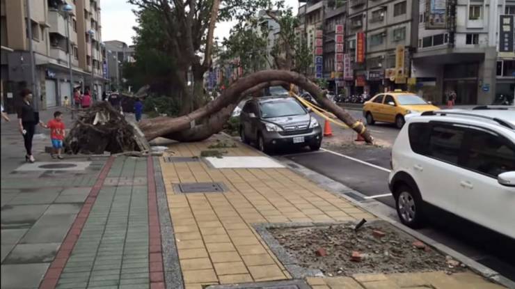Подборка прикольных картинок Подборка прикольных картинок приколы,смешные картинки,юмор