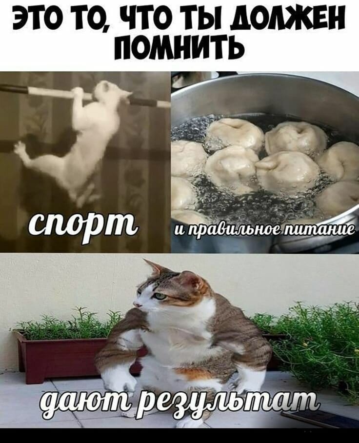 На суде адвокат прокурору: - Неужели вы не видите, что подсудимый дебил?... забыл , говорит, показывают, кладет, курицу, достает, может, только, можно, сокрушается, глупая, другое, правило, закончилось, перехожу, осталось, Какая, отвечает, служба, меняНа