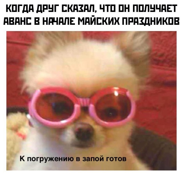 Подборка прикольных картинок Подборка прикольных картинок приколы,смешные картинки,юмор