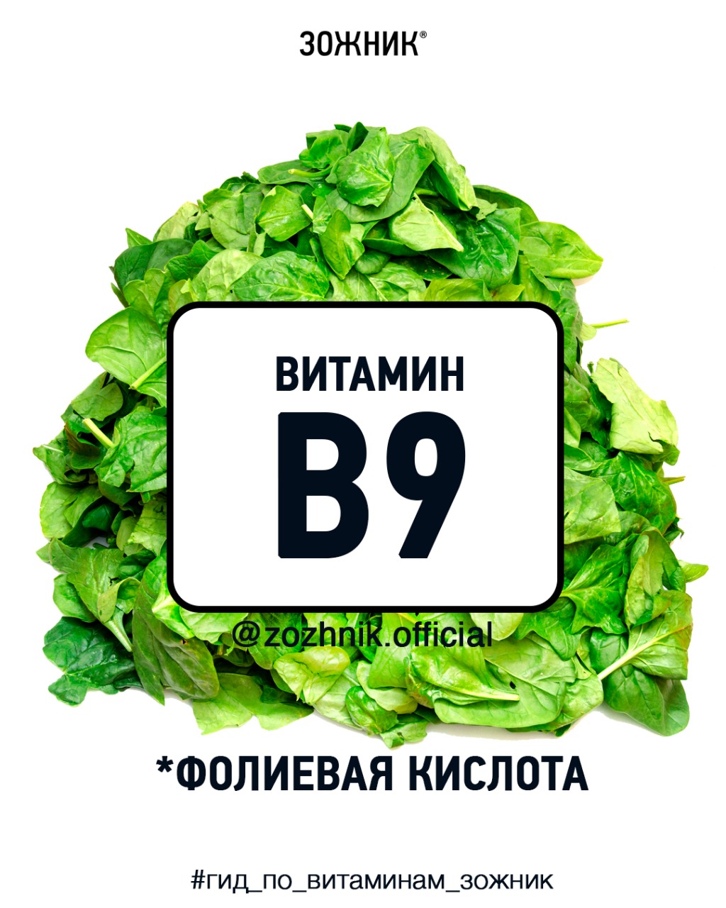 Витамин B9, он же “фолиевая кислота”. Энциклопедия в 10 слайдах 