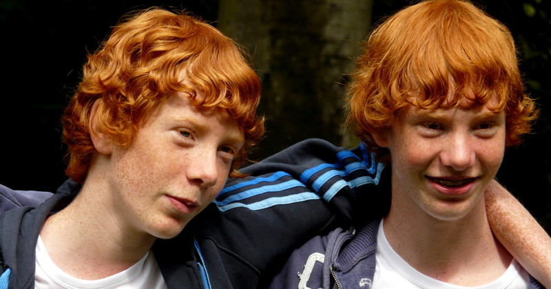 Когда понимаешь, что твои дети далеко пойдут истории, история, о детях, проделки близнецов, самостоятельность