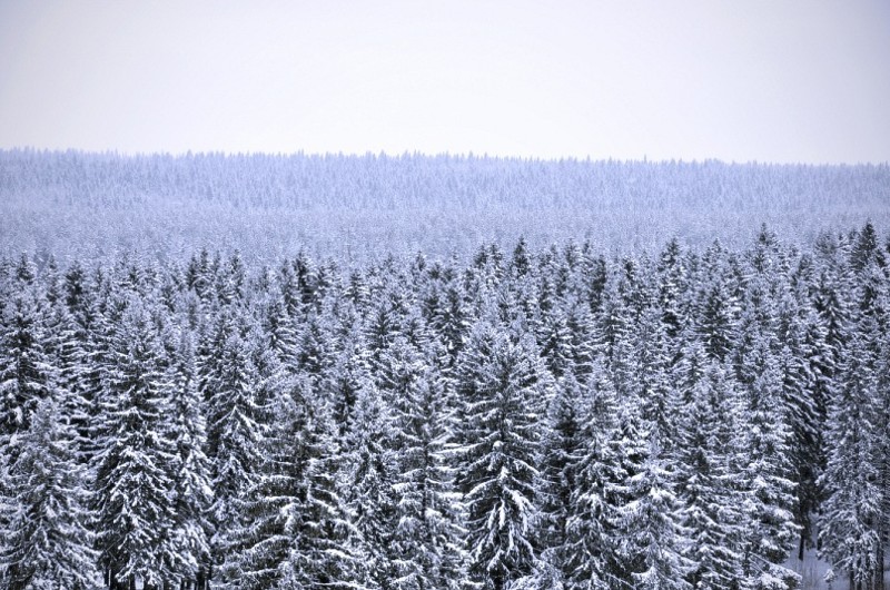 Жарко ? охладитесь вспомните зиму . Пермский Край и тишина Зима 2016-2017, красота, лес