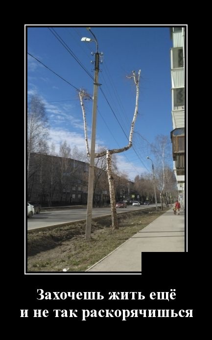 Подборка прикольных, веселых и смешных демотиваторов для классного настроения Подборка прикольных, веселых и смешных демотиваторов для классного настроения демотиваторы свежие,приколы,смешные демотиваторы,юмор