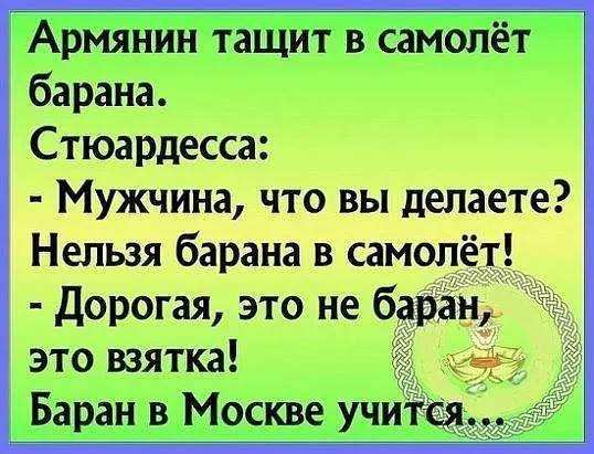 Если существуют домашние хозяйки, значит, где-то должны быть и дикие анекдоты