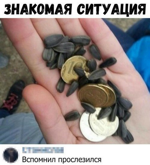 — Я же просила одну бутылку купить! — Одной не было! анекдоты,веселые картинки,приколы,юмор