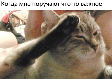 Новая порция фотомемов