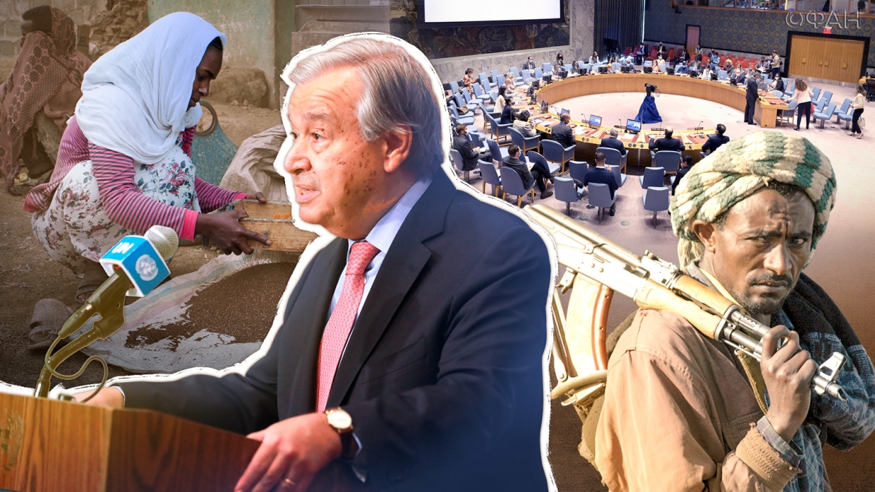 Захарова озвучила позицию России касательно эфиопского кризиса Весь мир