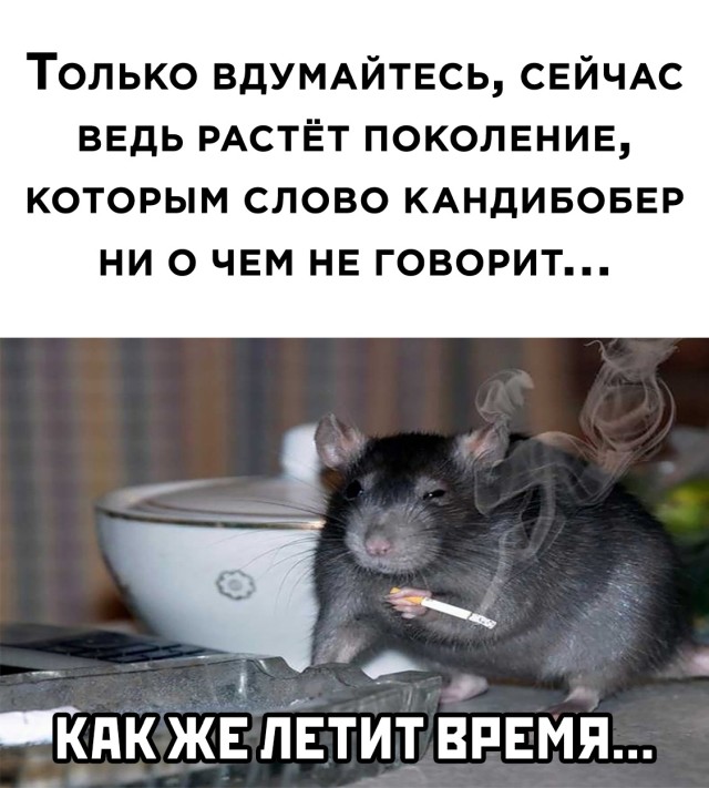 Подборка прикольных картинок Подборка прикольных картинок приколы,смешные картинки,юмор