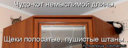 Новая котоматрица для настроения (20 фото)