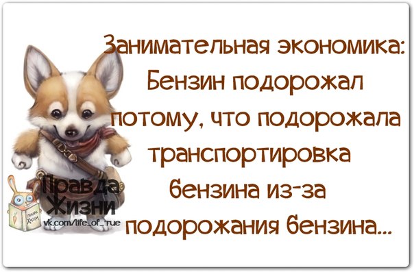 Смешные фразы на картинках Смешные фразы на картинках