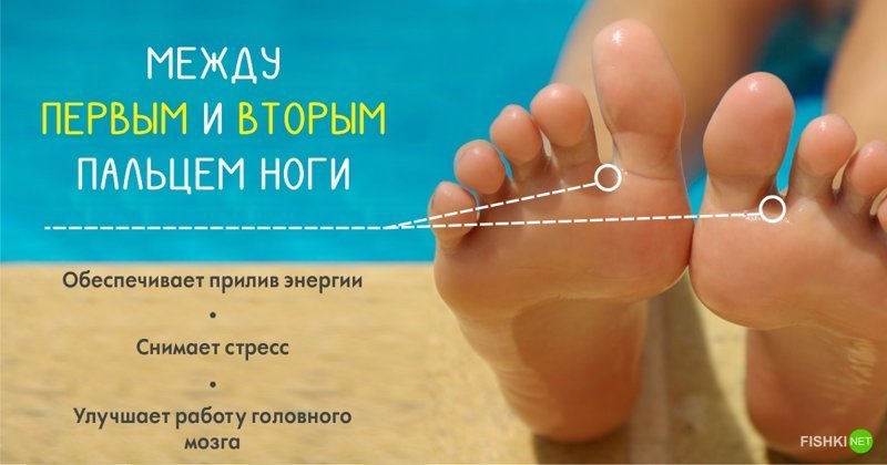 Точки на теле, которые способны активировать организм на все 100% Точки на теле, которые способны активировать организм на все 100% тело