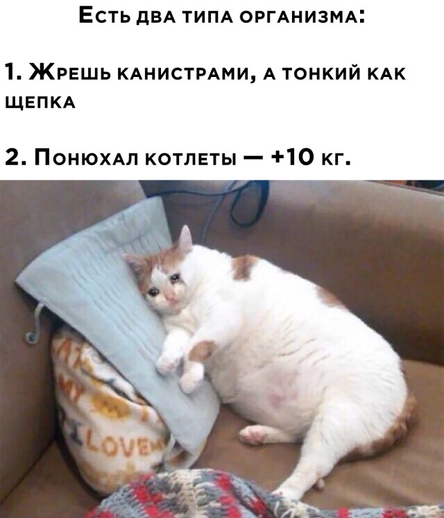 Немного анекдотиков на вечерок 