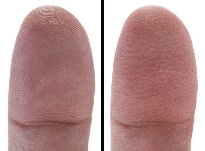 10 прелюбопытнейших фактов о нашем мире 